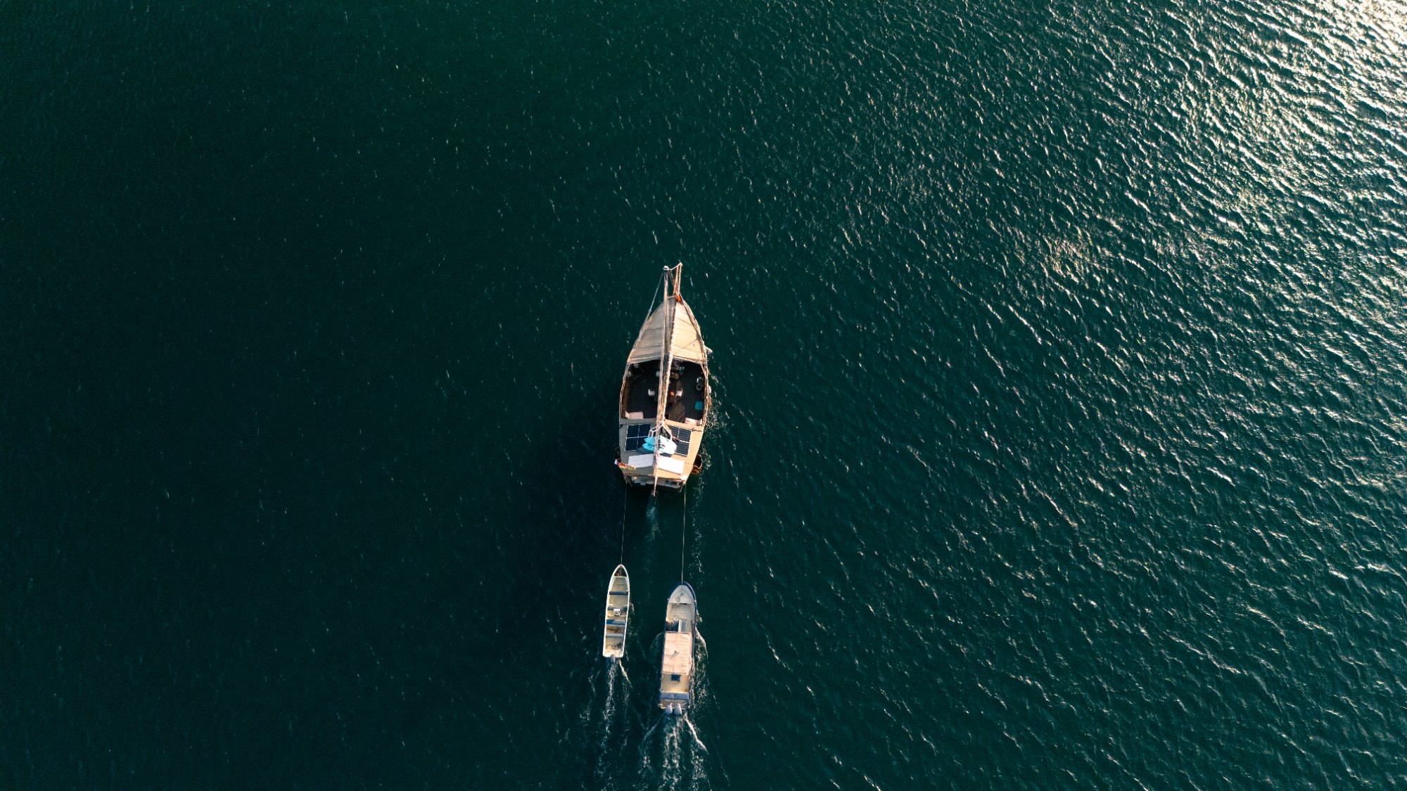 Sunset Silhouettes · Mara