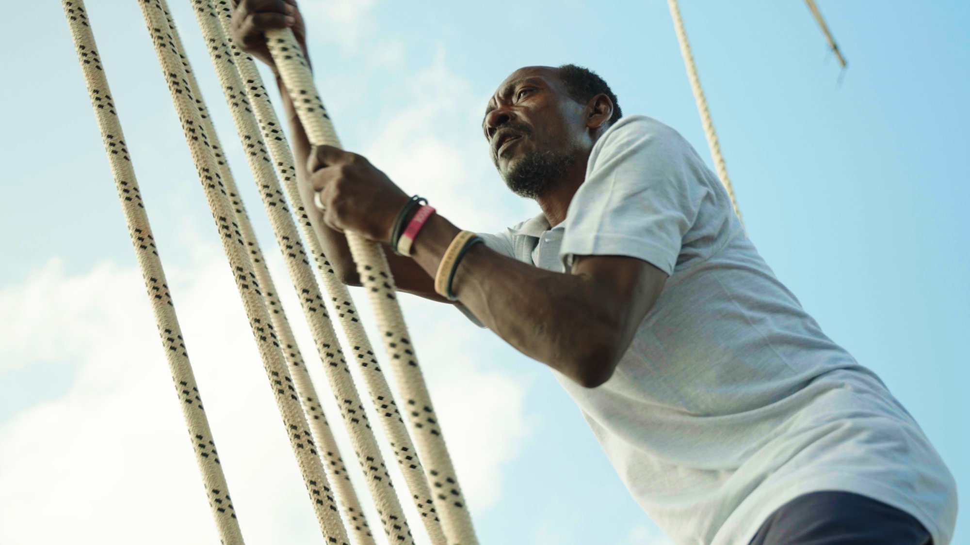 Fashion · Fallen Tree · Savanna